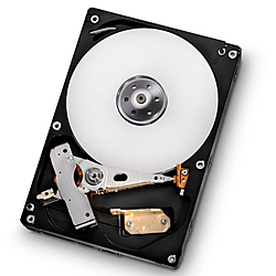 DT01ACA100 [1TB SATA600 7200]