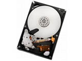 HDS722020ALA330 (2TB SATA300 7200)