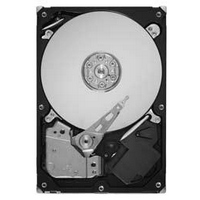 ST2000DL003 [2TB SATA600 5900]