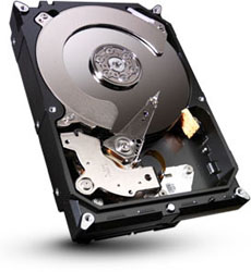 ST3000DM001 [3TB SATA600 7200]