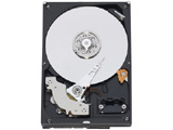 WD15EARS (1.5TB SATA300)