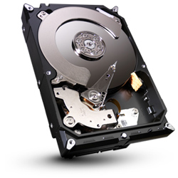 ST1000DM003 [1TB SATA600 7200]