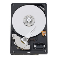 WD10EARS (1TB SATA300)