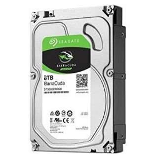 ST6000DM003 [6TB SATA600]