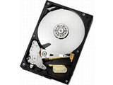 HDS721010CLA332 (1TB SATA300 7200)