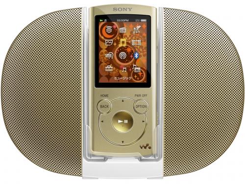 NW-S764K (N) [8GB ゴールド]