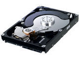 HD103SI (1TB SATA300)