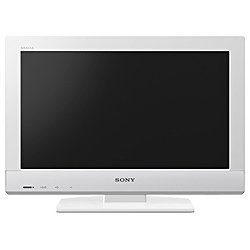 BRAVIA KDL-22EX300 (22)