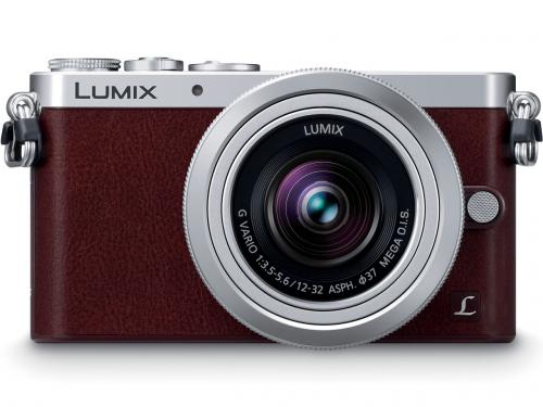 LUMIX DMC-GM1SK-T レンズキット [ブラウン]