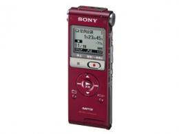 ICD-UX300F
